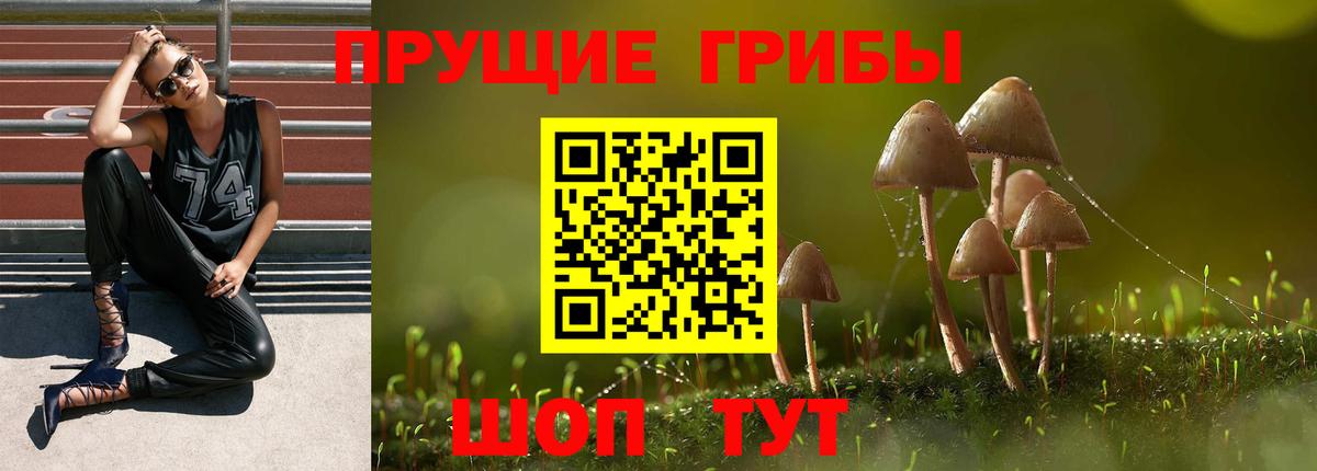 Кувандык  Галлюциногенные грибы Psilocybe  Галлюциногенные грибы MAGIC MUSHROOMS  Вход с VPN 